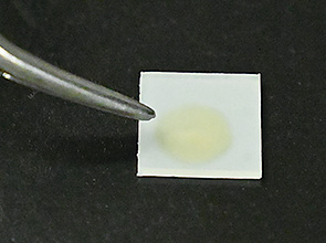 画像：生体材料や歯面の改質・高機能化技術の開発