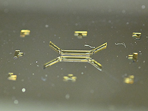 画像：サーボプレスで微細中空構造の量産を実現する精密拡散接合技術の開発