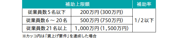 画像：申請要件がやさしく交付決定が早い「中小企業省力化投資補助金（カタログ注文型）」