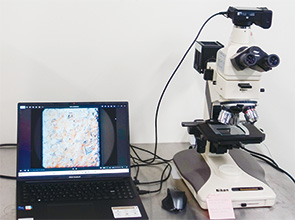 画像：形状記憶合金における転位の本質的効果を見極め、新たな用途開発に貢献